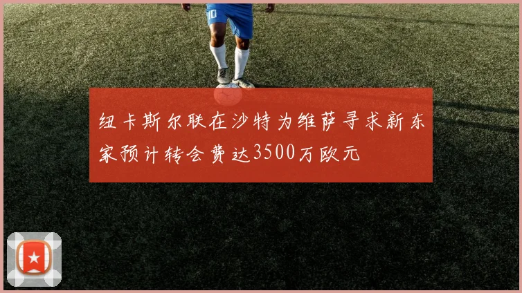 纽卡斯尔联在沙特为维萨寻求新东家预计转会费达3500万欧元