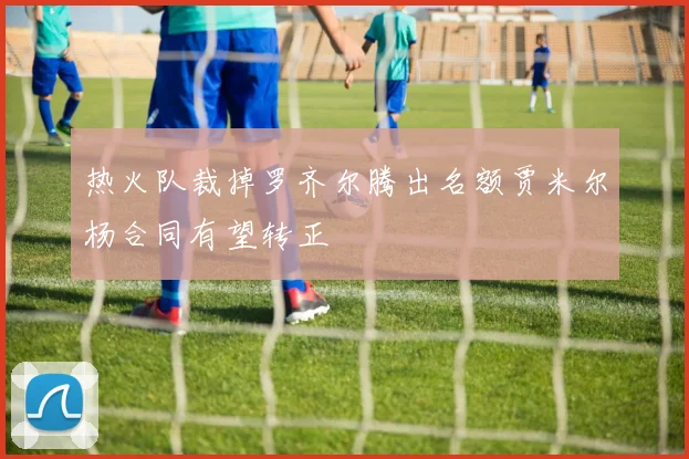 热火队裁掉罗齐尔腾出名额贾米尔杨合同有望转正